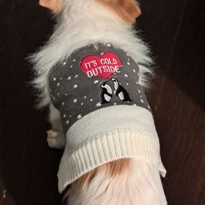 Fancy Winter dog sweater, XS